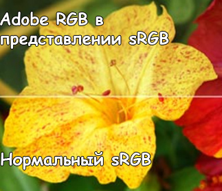 цветовые модели RGB и sRGB