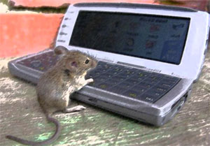история создания компьютерной мыши